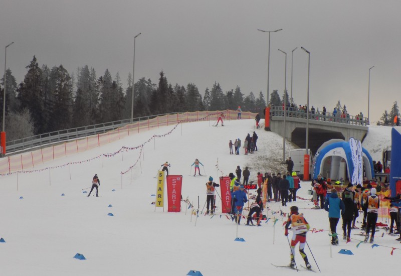 Zawody w biegach narciarskich